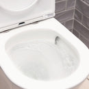 Kaya Extra Height Rimless Tornado Flush Toilet