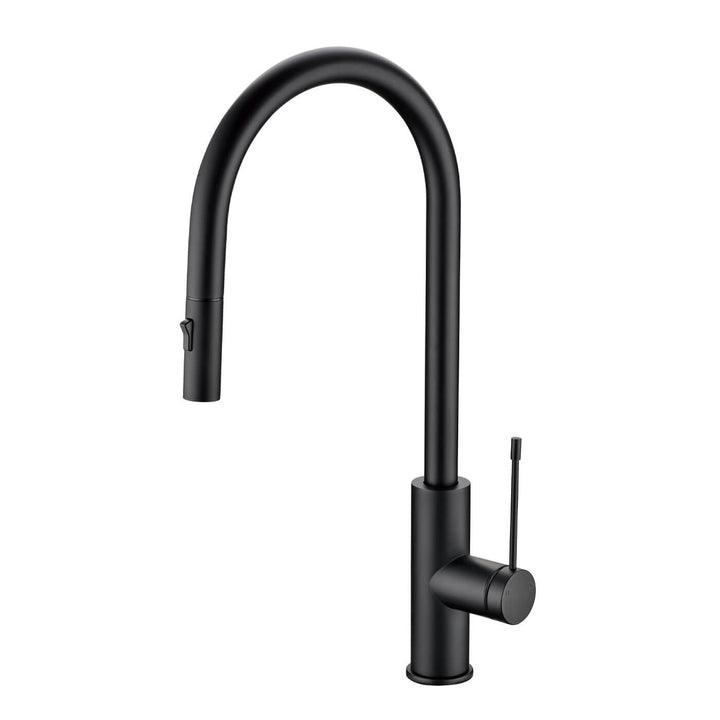 AZIZ LUX Pull Out Sink Mixer with Veggie Spray