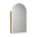 Canterbury LED Mirror Shaving Cabinet 500x900mm