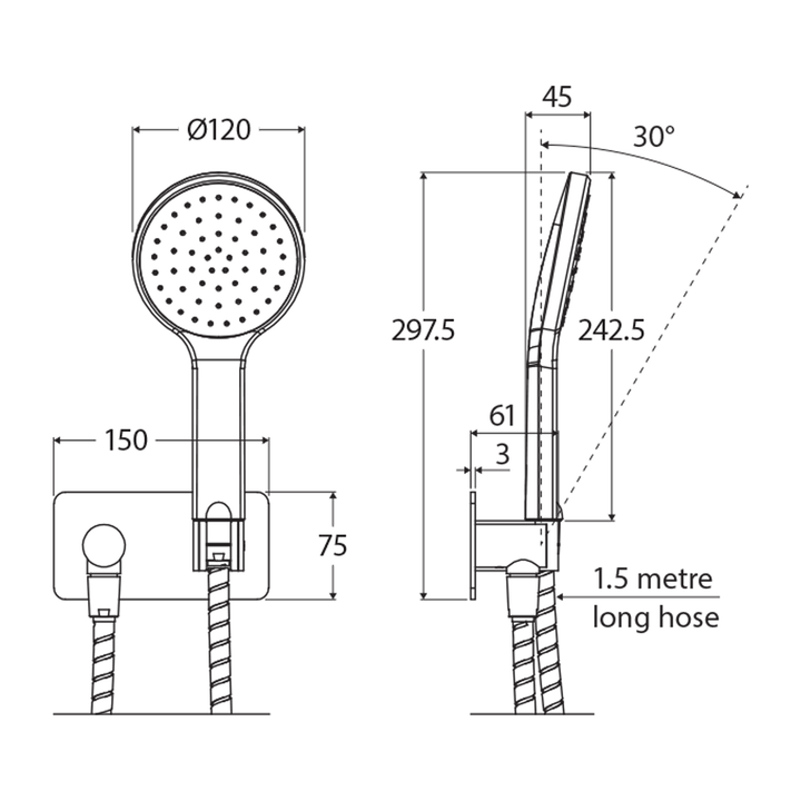 Kaya Shower Handset with Backplate