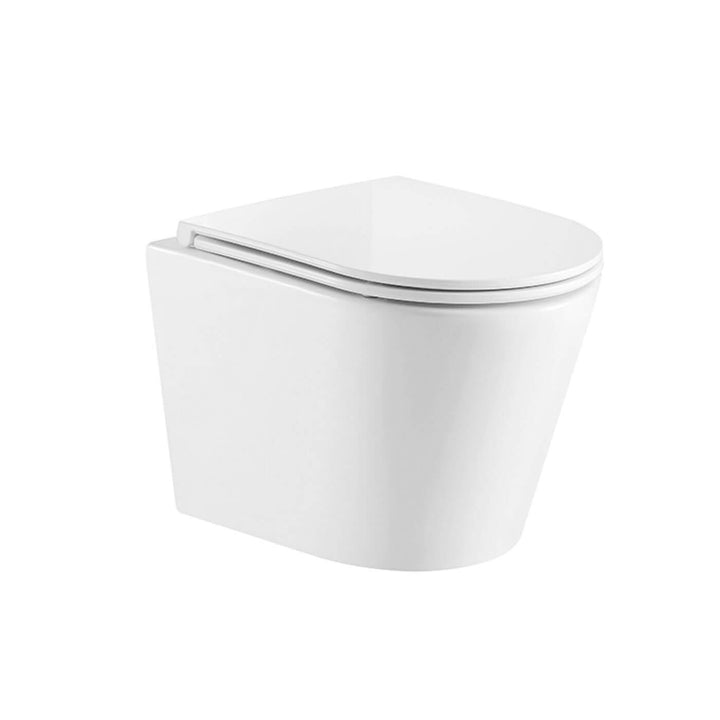 Parma Wall Hung Rimless Toilet R&T Cistern Package