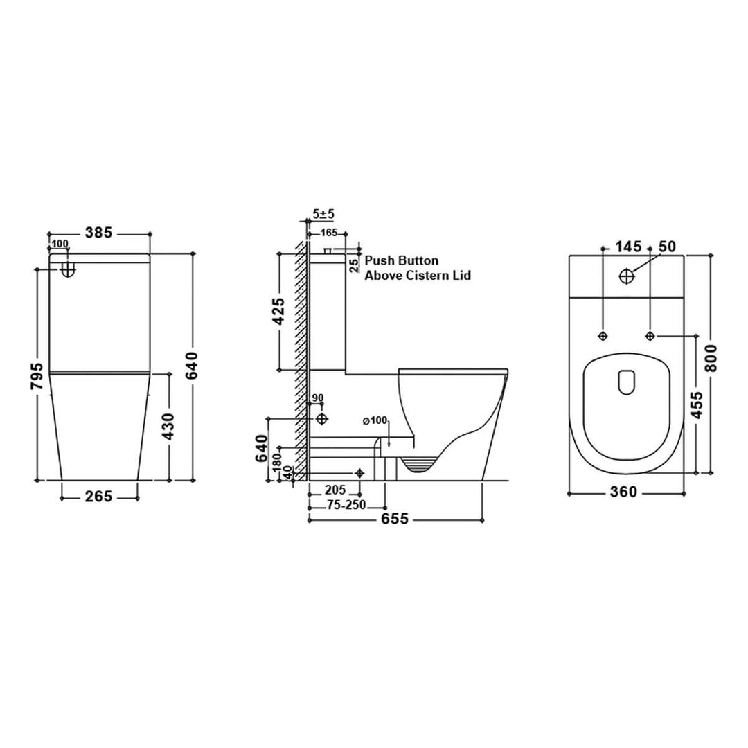 Barcelona DDA Disabled Care Rimless Back to Wall Toilet