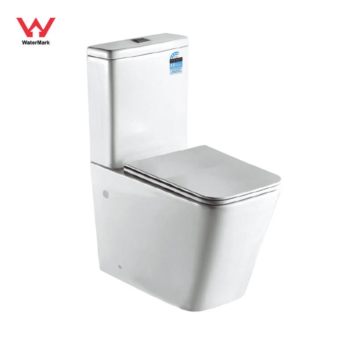 Florence Rimless Square Back to Wall Toilet Suite