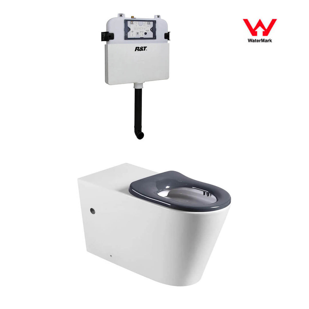 Madrid DDA Rimless In-Wall Disabled Care Toilet